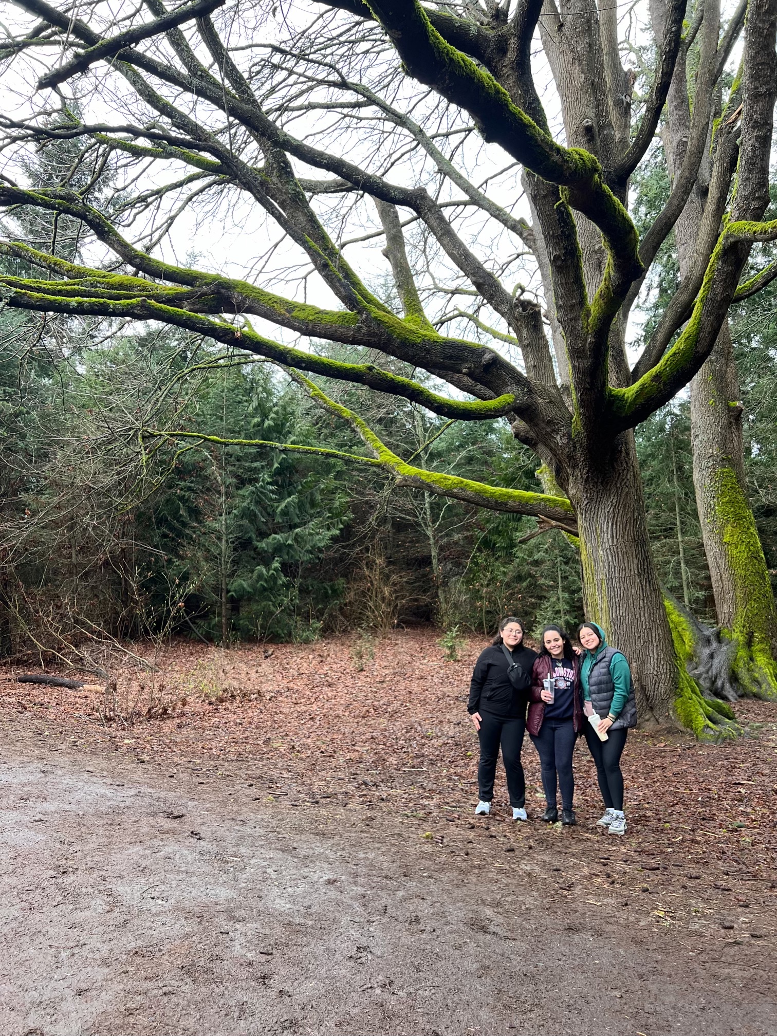 Allison, Alanis, and Laura in Discovery Park