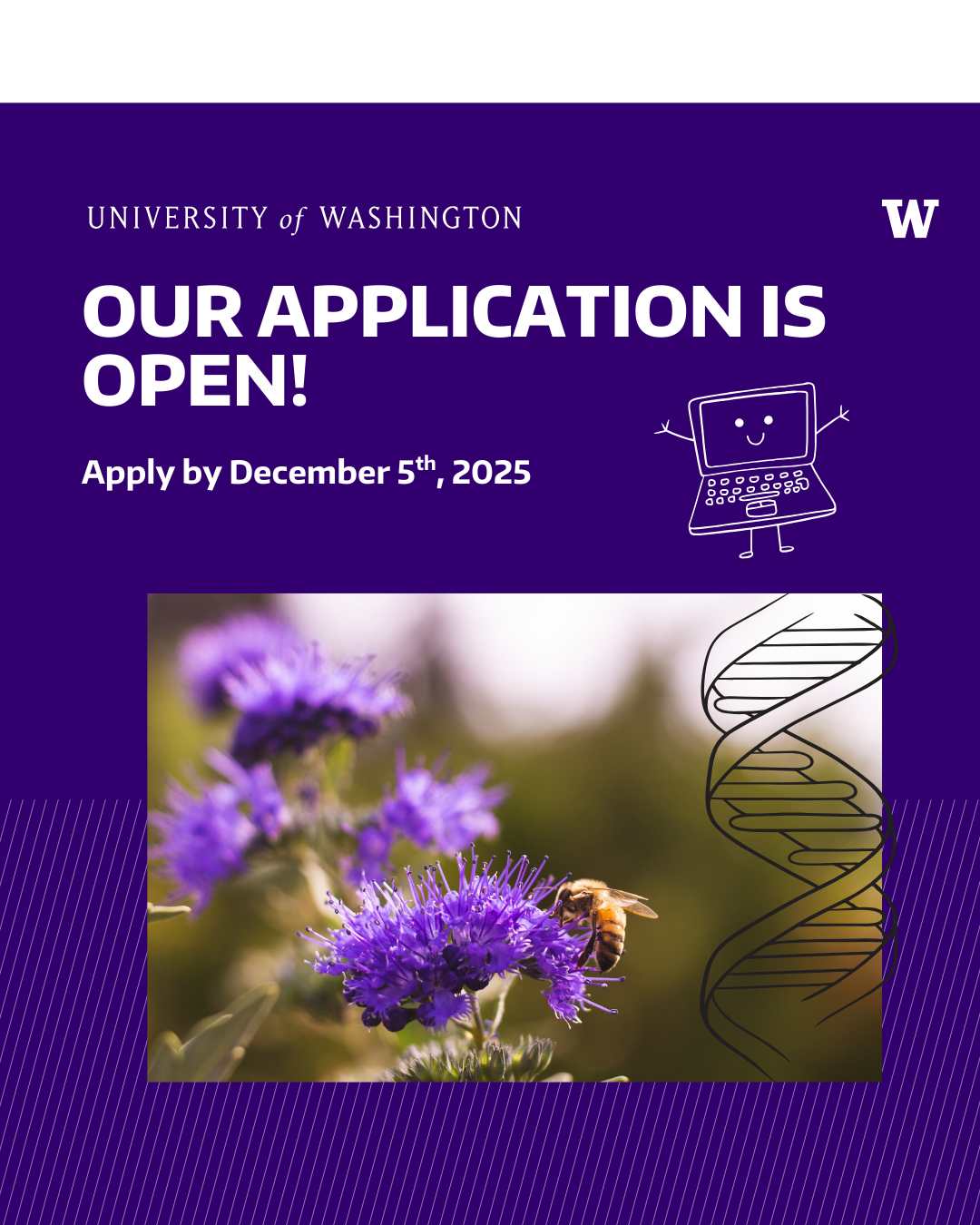 Our Application is Open! bee sits on purple flower